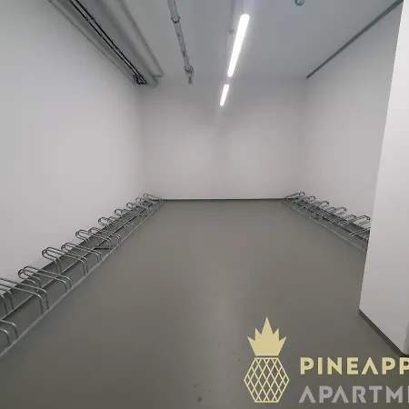 NEW! Pineapple Apartments Dresden Altstadt II Exterior foto