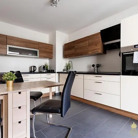 NEW! Pineapple Apartments Dresden Altstadt II Exterior foto